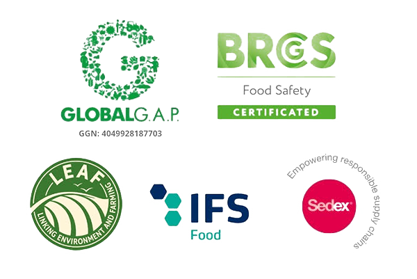 Certificados Frutas El Pinar